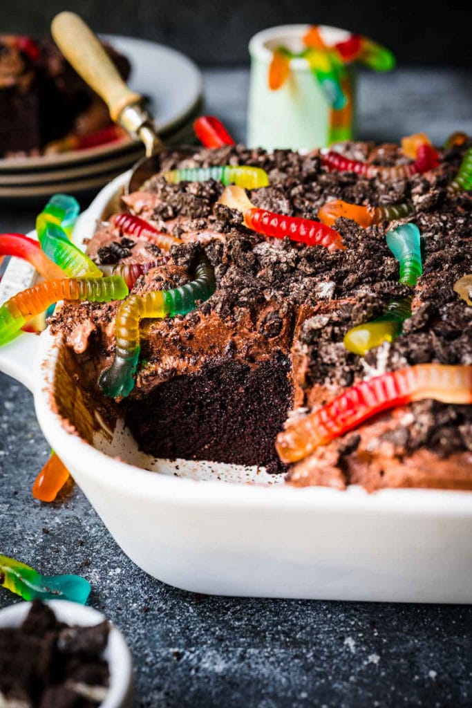 Chocolate Pudding Dirt Cake