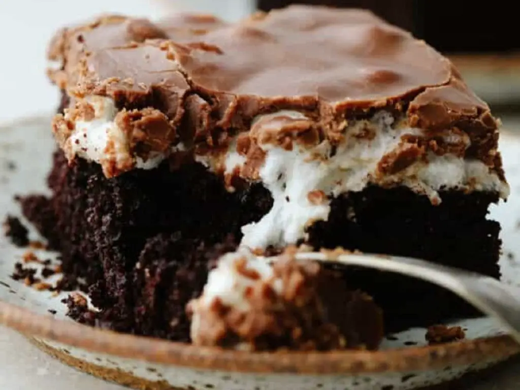 Mississippi Mud Cake (The Recipe Critic) 