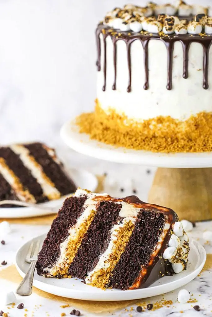 S’Mores Chocolate Cake