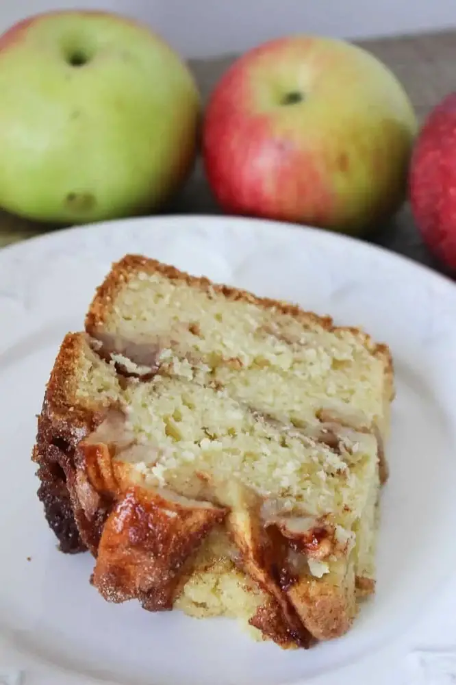 The Best Jewish Apple Cake - The Farmgirl Gabs