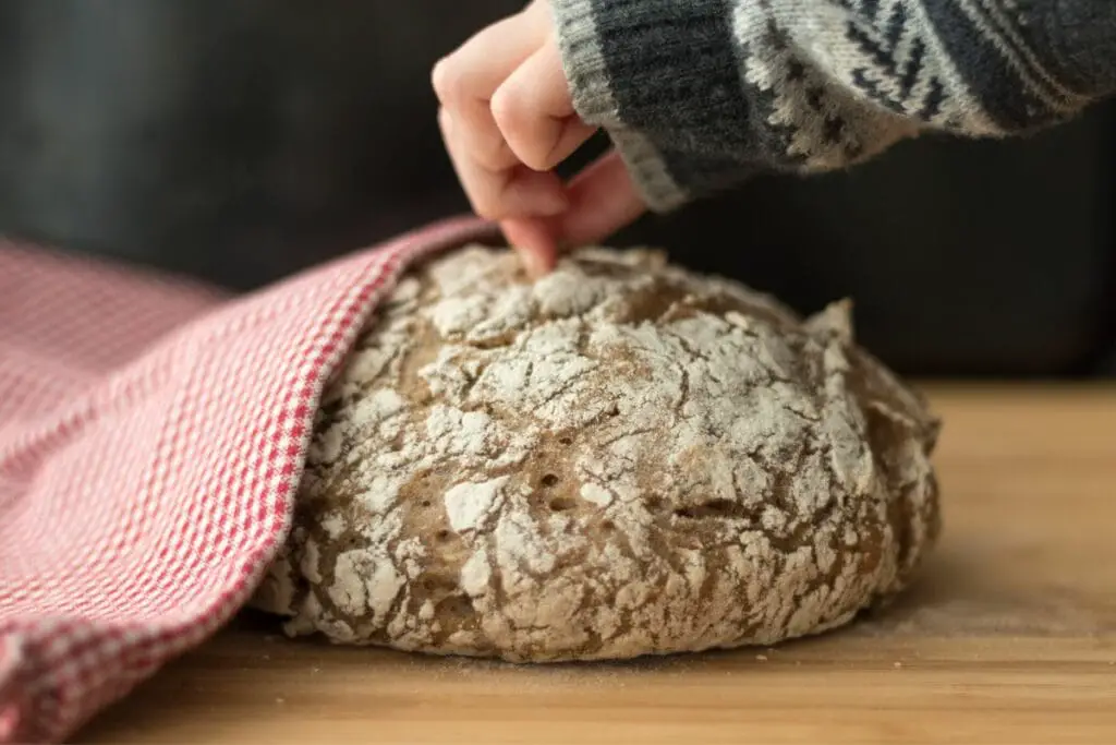 sourdough-cheese-bread-farmhouse-on-boone