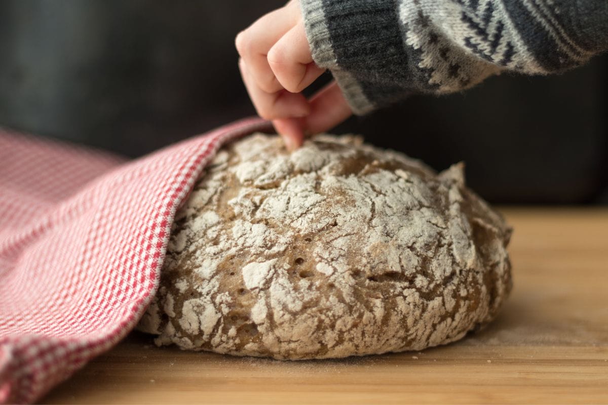 Does-Sourdough-Have-Gluten-3