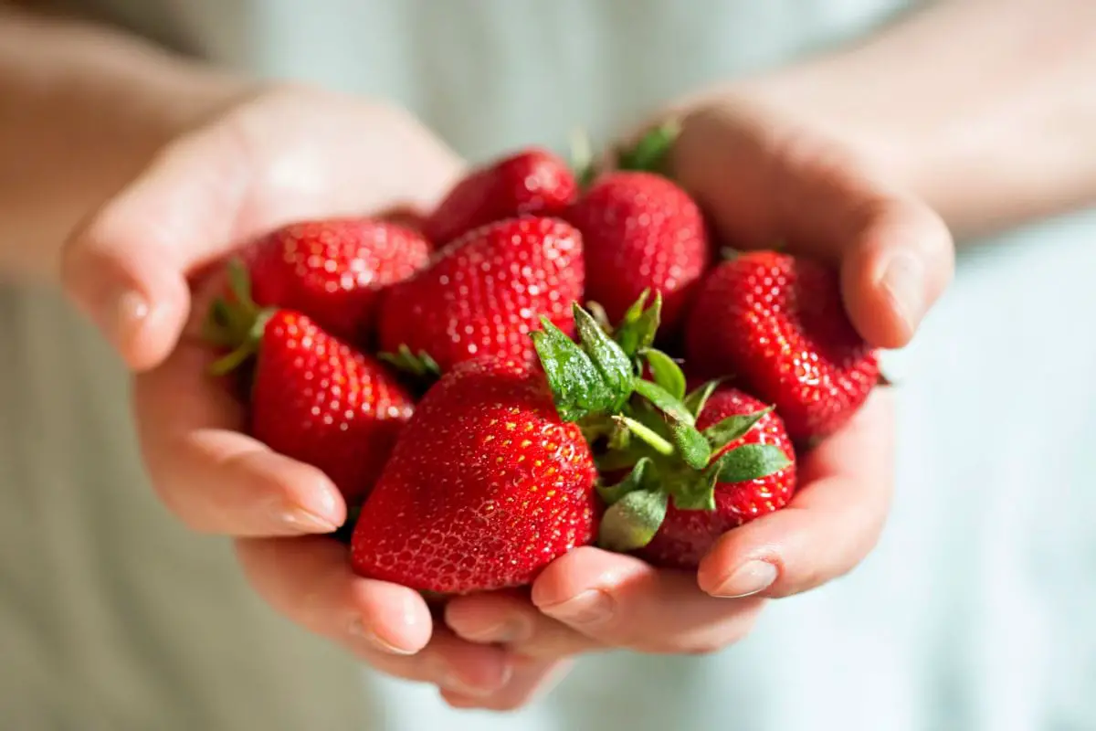 How To Ripen Strawberries