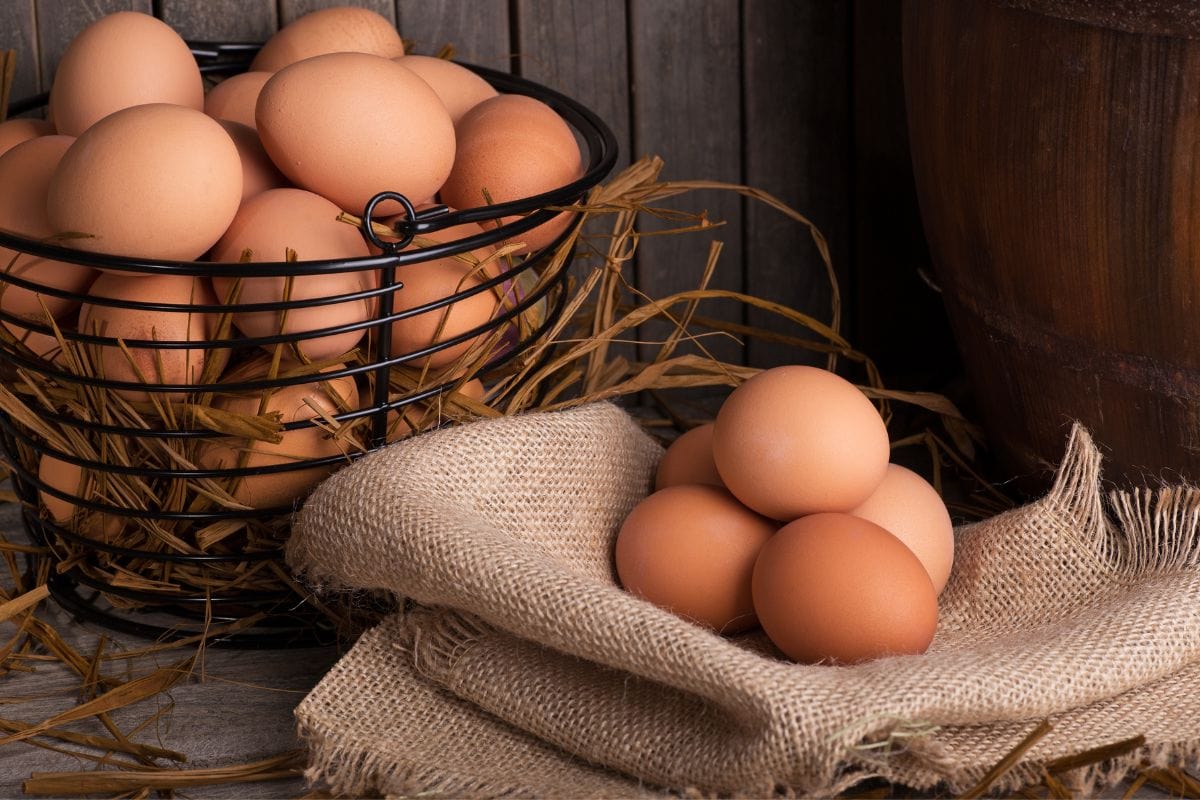 Left Eggs Out Overnight What Kate Baked left-eggs-out-overnight-what-kate-baked
