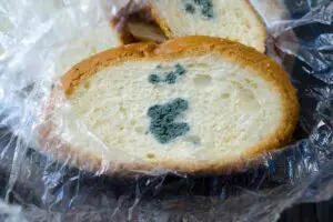 How To Prevent Mold On Bread