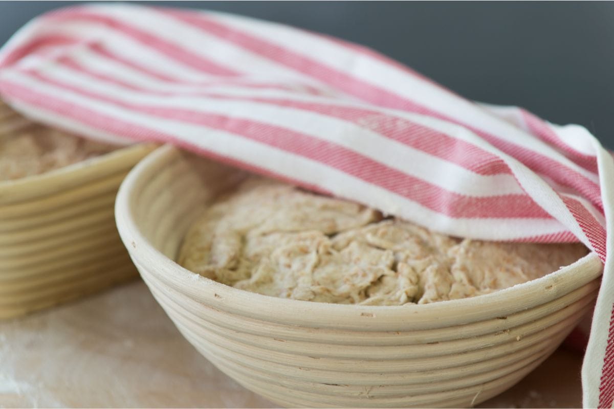 Using sourdough starter straight from the fridge