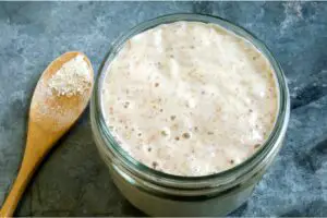 What Is The Liquid On My Sourdough Starter